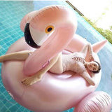 Giant Inflatable Flamingo